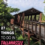 fun things to do in Tallahassee
