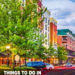things to do in Gainesville, FL