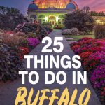 things to do in buffalo ny