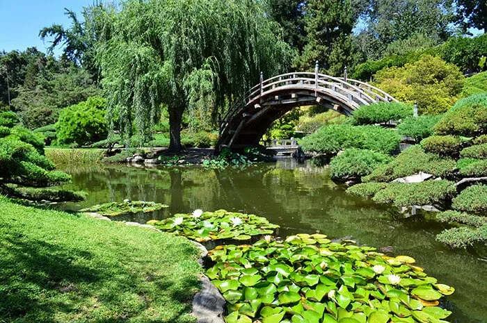 Huntington's Japanese Garden